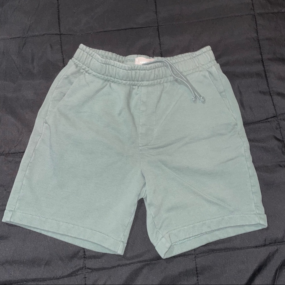 Everlane Balsam Green Shorts